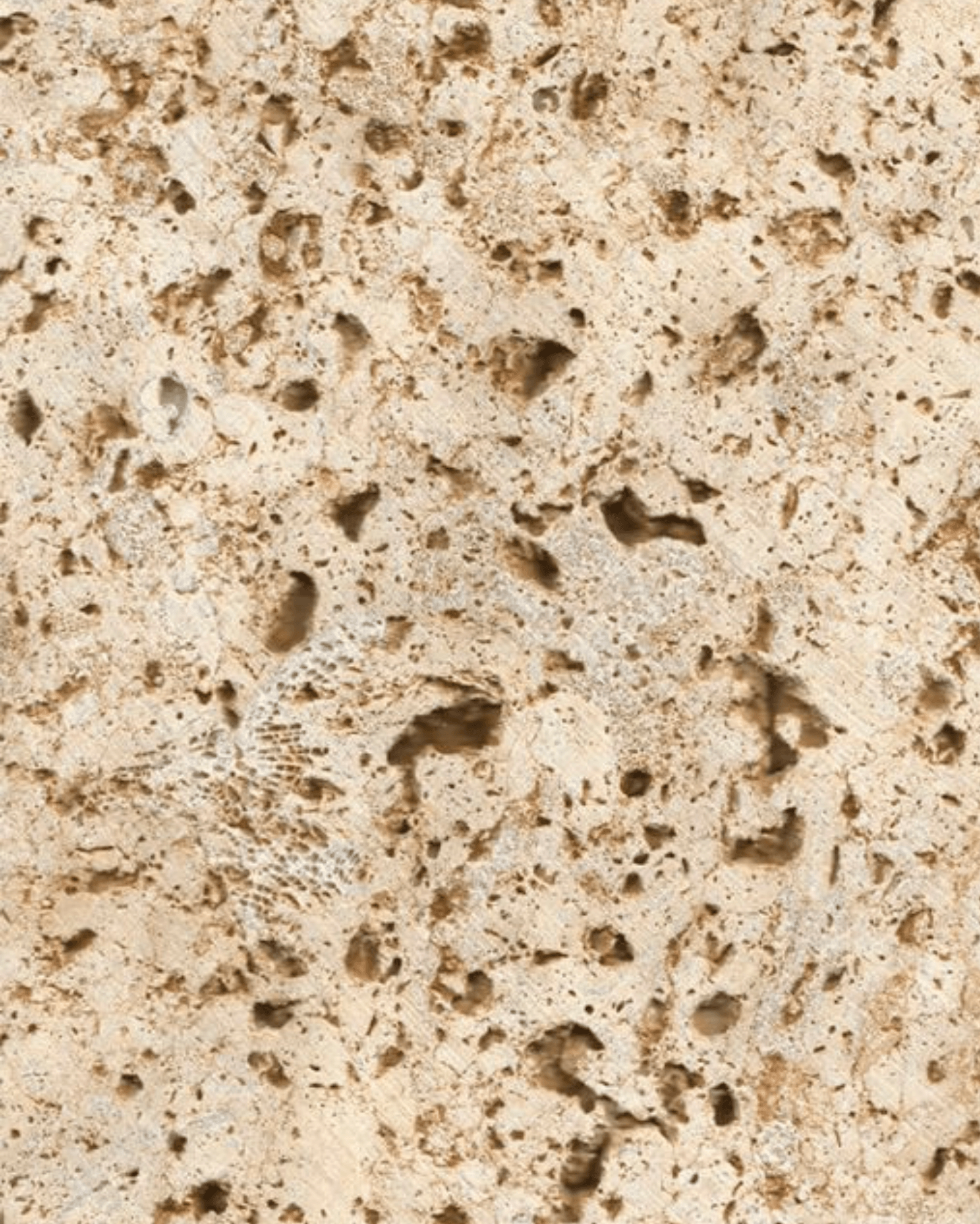 Coralina