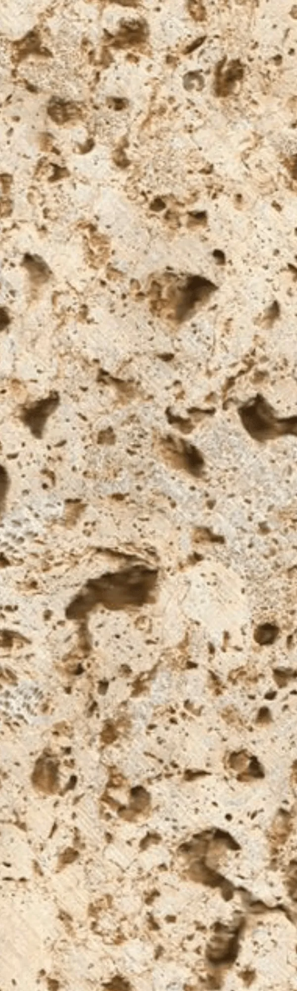 Coralina