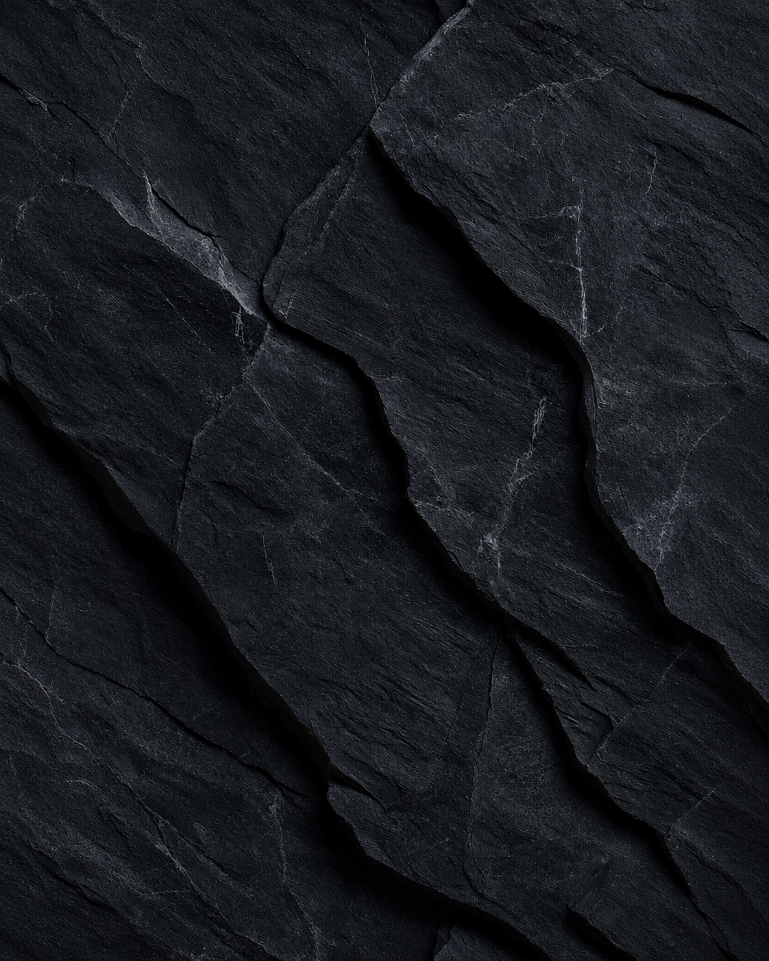 Laja Negro Palao